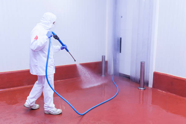 Playground Equipment Cleaning in Social Circle, GA